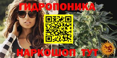 первитин Заводоуковск